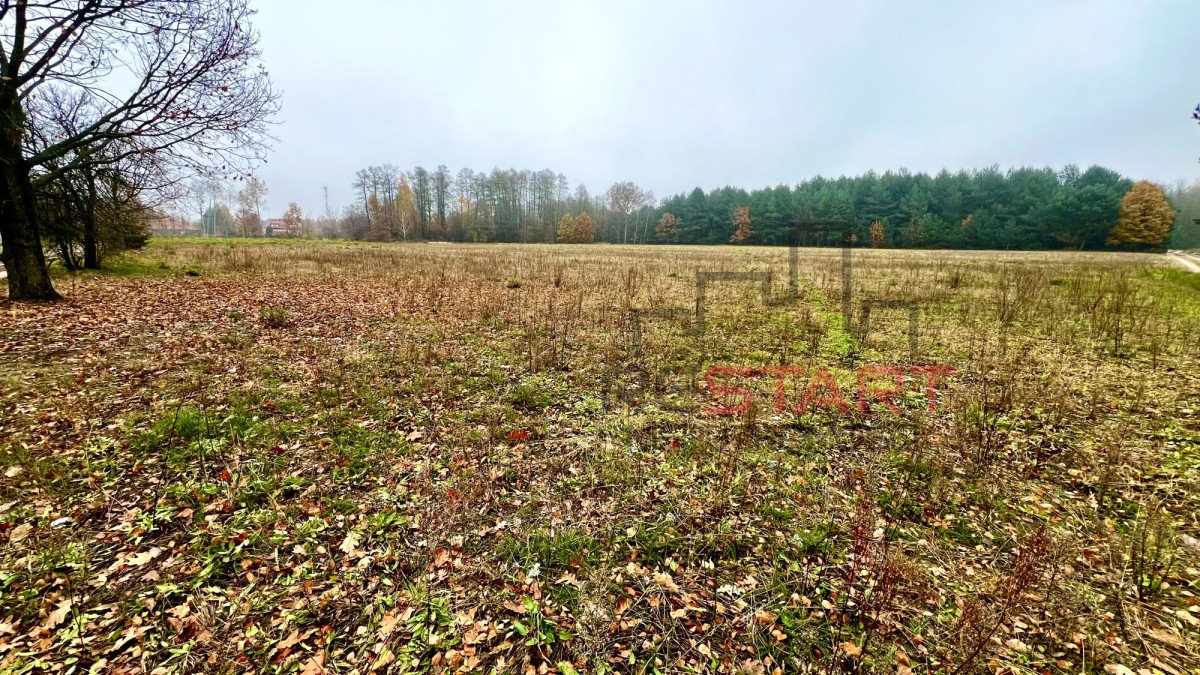 Działka budowlana na sprzedaż Puszcza Mariańska  1 200m2 Foto 7