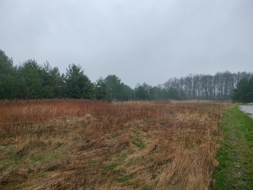 Działka budowlana na sprzedaż Dębina, Skowronkowa  1 000m2 Foto 3