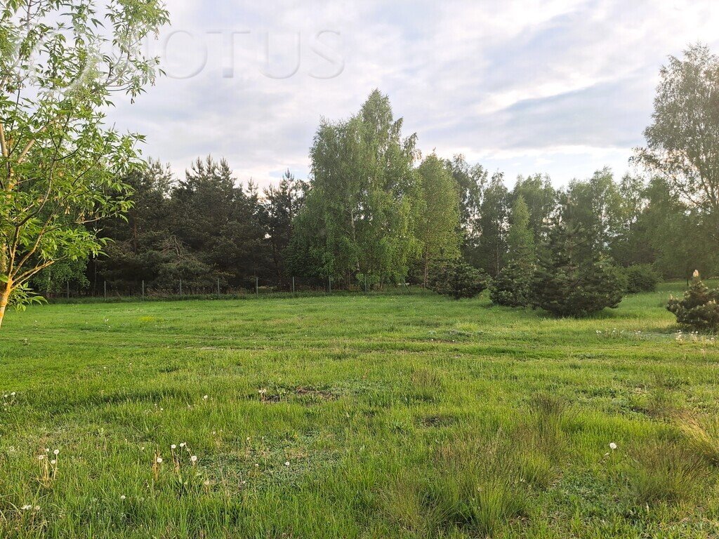 Działki rekreacyjne z możliwością zabudowy - las i staw polecam! Zamek Bierzgłowski  1 100m2 Foto 1