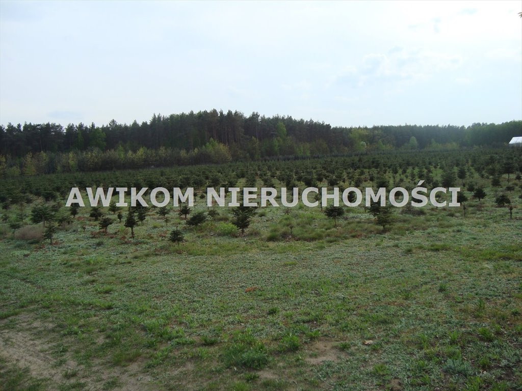 Działka inwestycyjna 25 460 m² pod sanatorium i SPA - rezerwat orła bielika Grzegorzewice  25 460m2 Foto 1