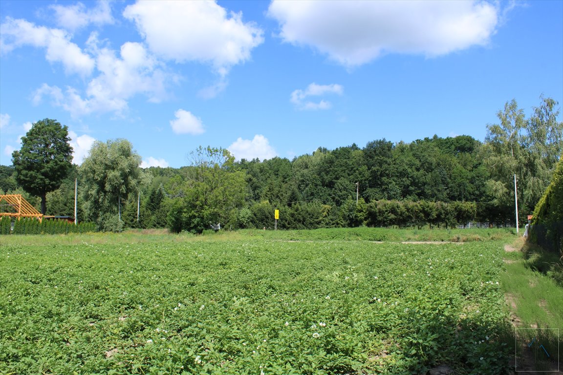 Działka budowlana na sprzedaż Winiary  10 200m2 Foto 6