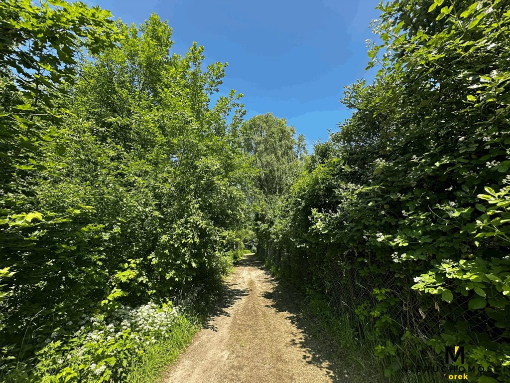 Działka leśna na sprzedaż Kamica  6 603m2 Foto 1