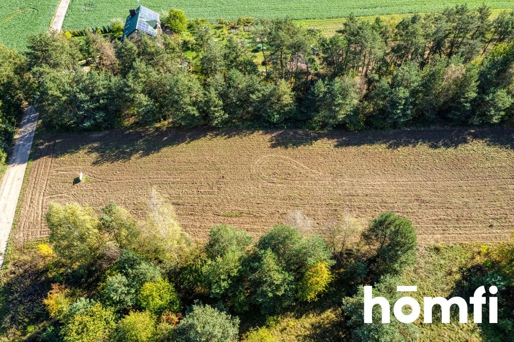 Działka 4100 m² z MPZP - media, las, Brzeziny Brzeziny  4 100m2 Foto 1