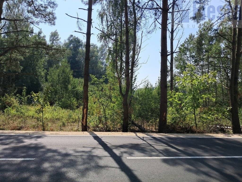 Działka budowlana na sprzedaż Serock  3 000m2 Foto 9