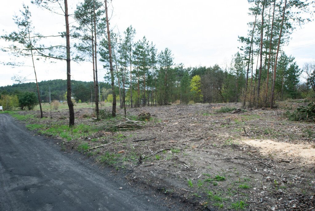 Działka inna na sprzedaż Chodzież  1 000m2 Foto 1
