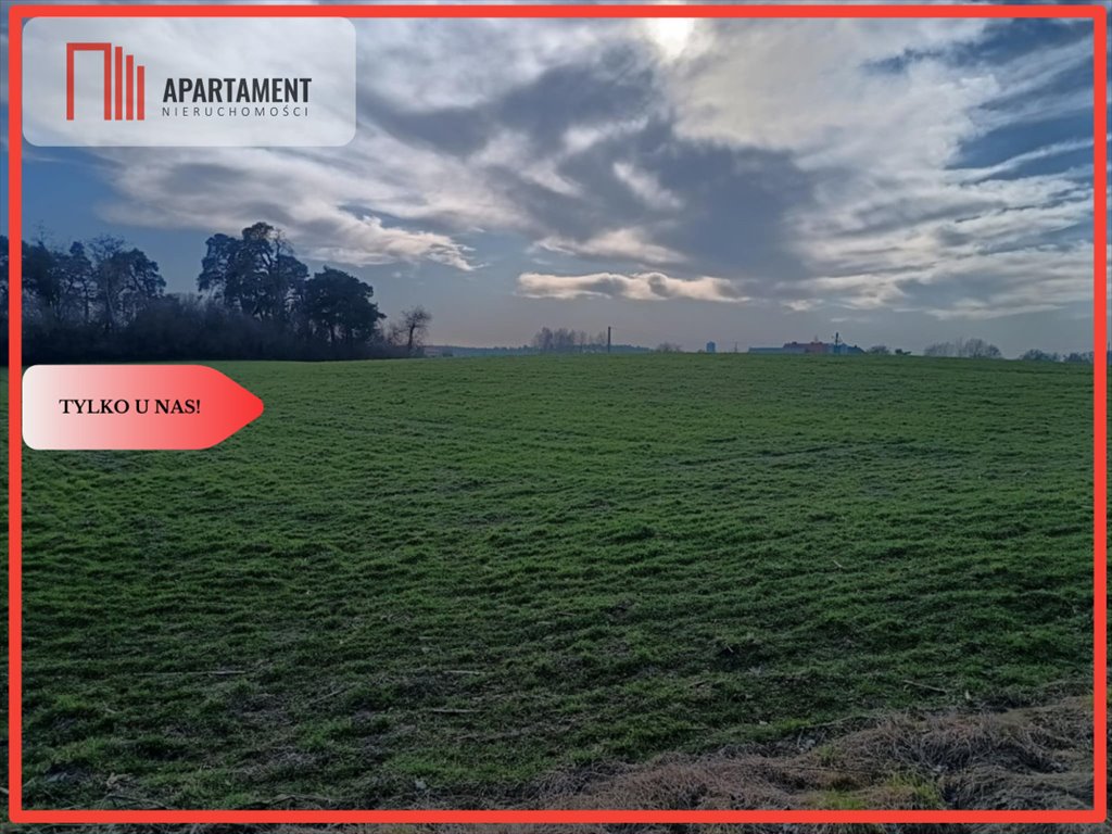 Działka budowlana na sprzedaż Osetno  11 800m2 Foto 1