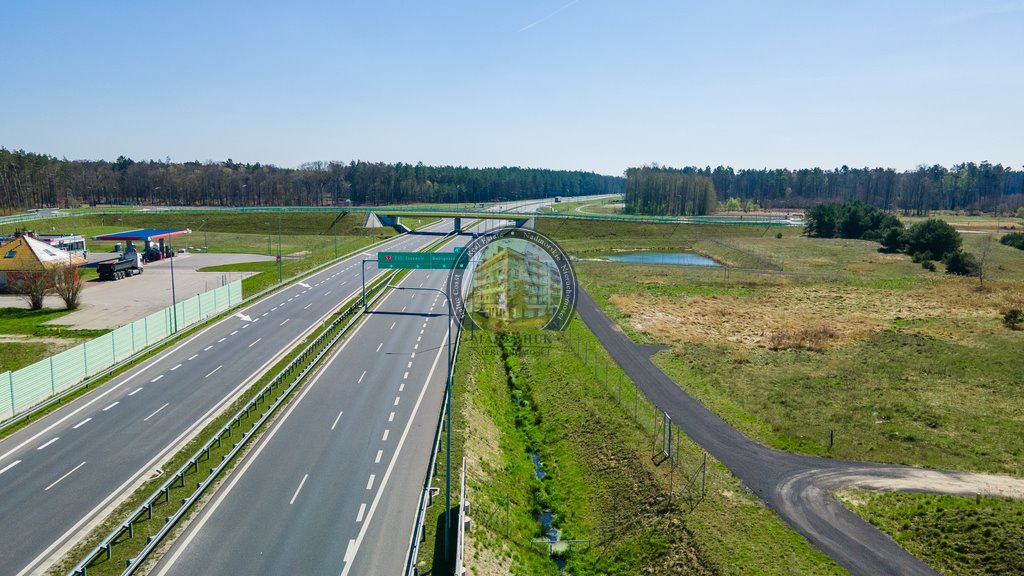 Działka inwestycyjna na sprzedaż Babigoszcz  6 700m2 Foto 5