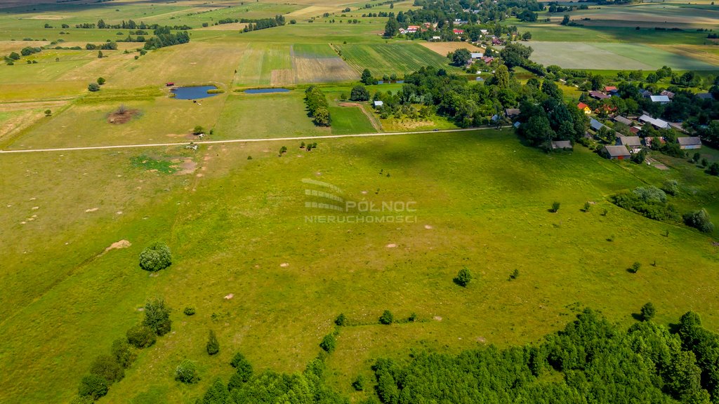 Działka rolna na sprzedaż Mieleszki-Kolonia  3 003m2 Foto 13