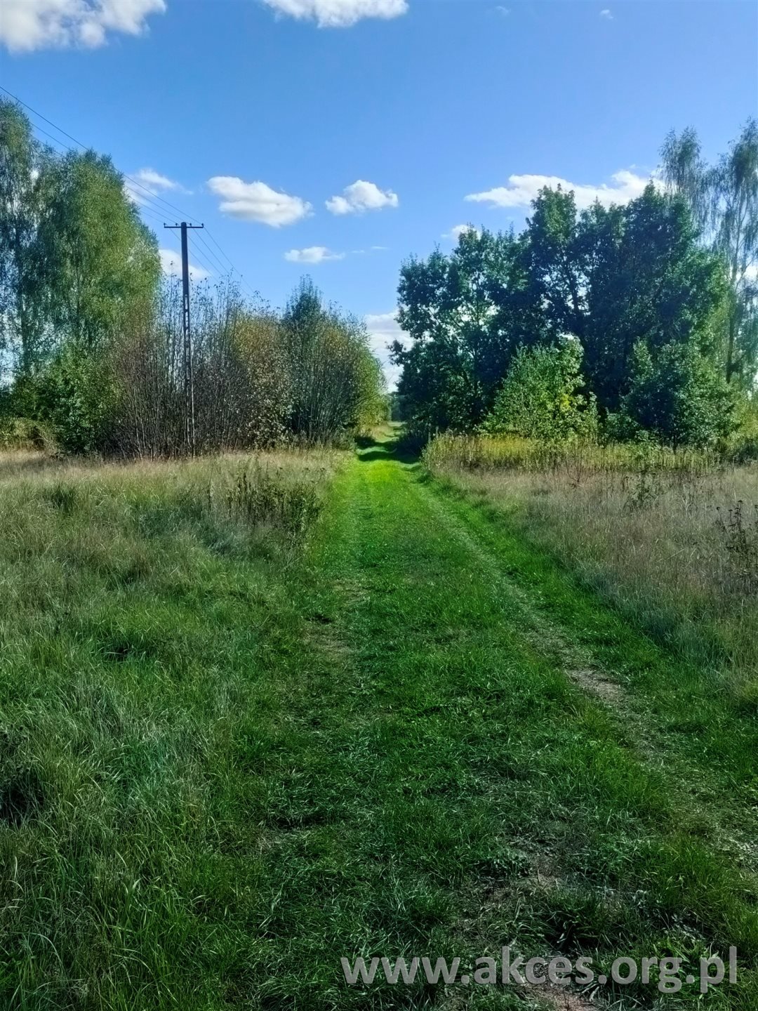 Do sprzedania działka 3 569 m² w otulinie Kampinowskiego Parku Secyminek  3 569m2 Foto 1
