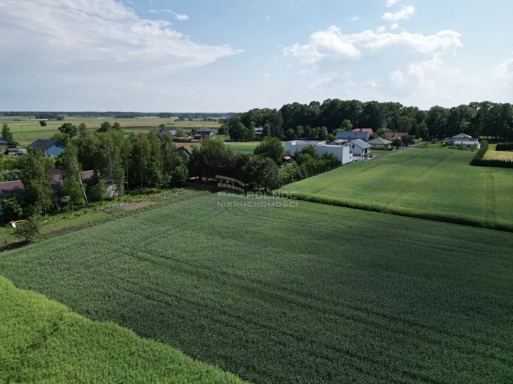 Działka budowlana na sprzedaż Wilczyn  1 000m2 Foto 4