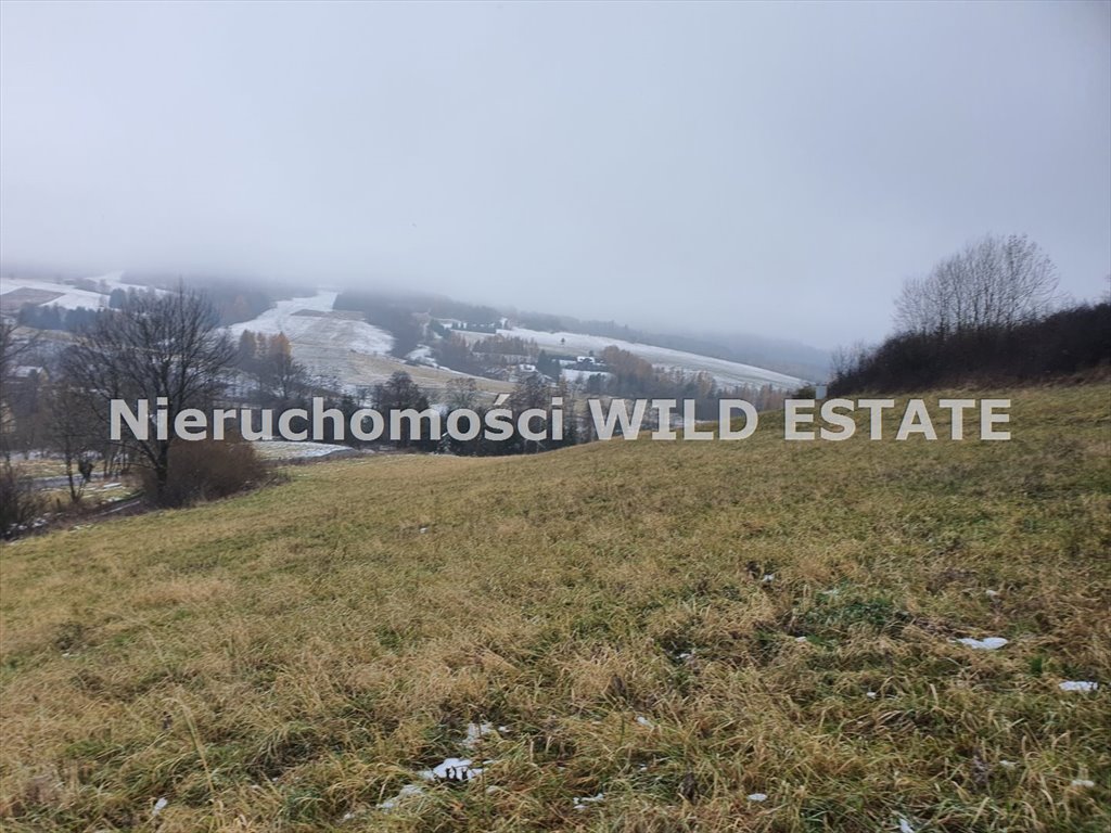 Działka rolna na sprzedaż Baligród, Baligród  13 600m2 Foto 3