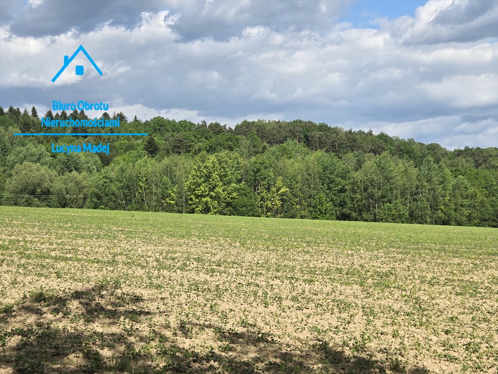 Sprzedam działkę 60 000 m² pod osiedle w Stanisławiu Dolnym: Stanisław Dolny