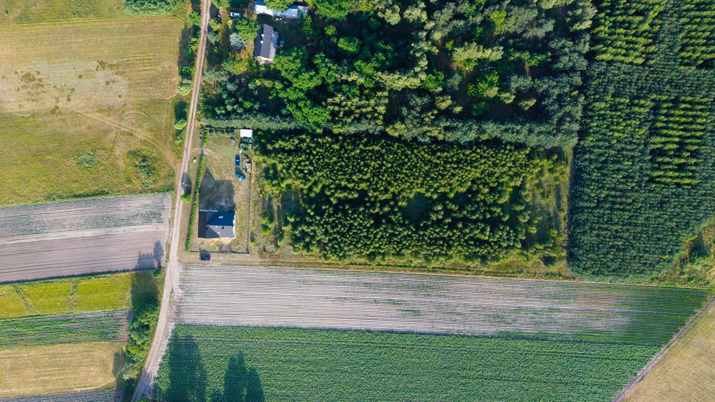 Działka budowlana na sprzedaż Boczki  1 194m2 Foto 1