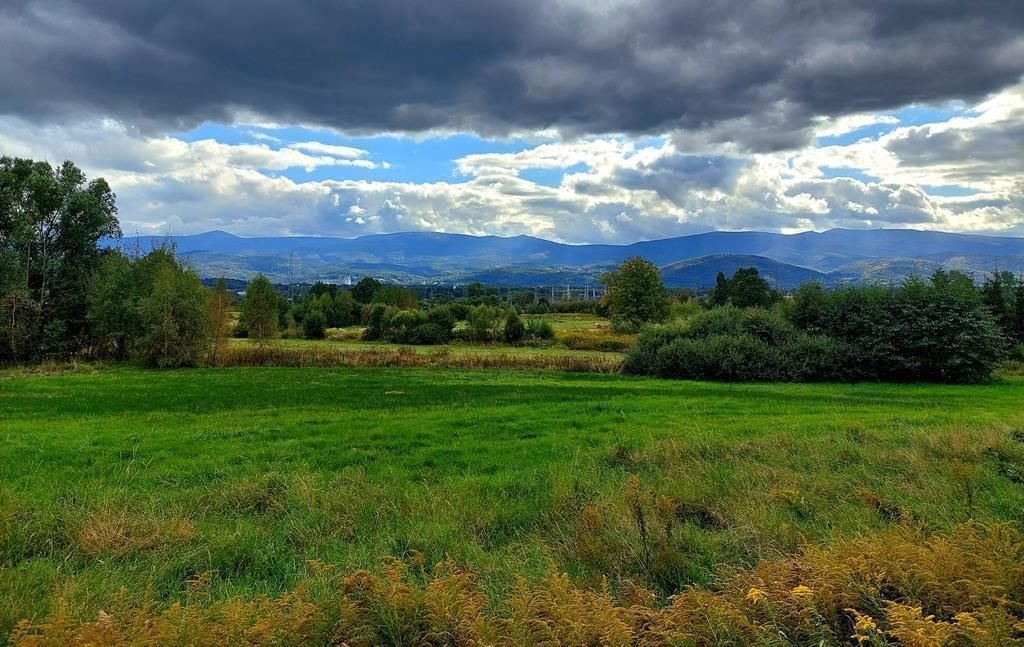 Działka inwestycyjna na sprzedaż Jelenia Góra, Goduszyn  10 549m2 Foto 3