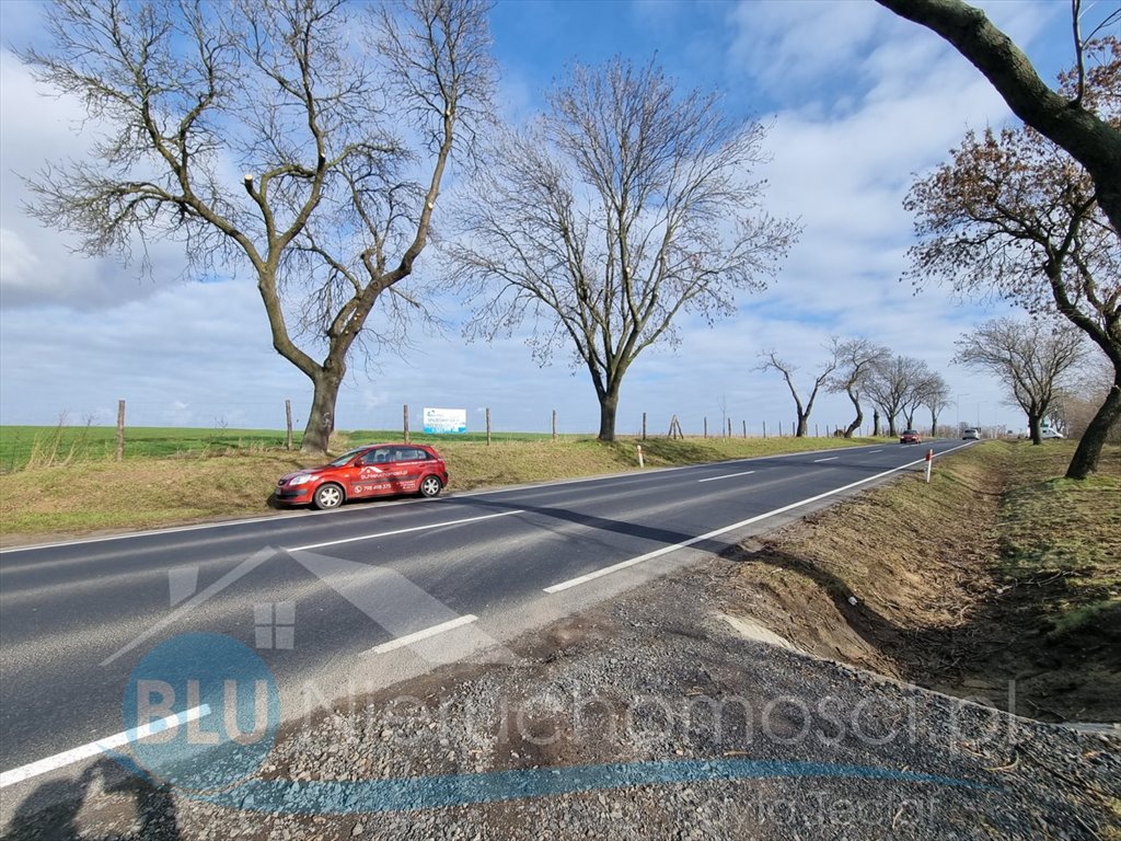 Działka komercyjna na sprzedaż Ruszowice  50 100m2 Foto 5