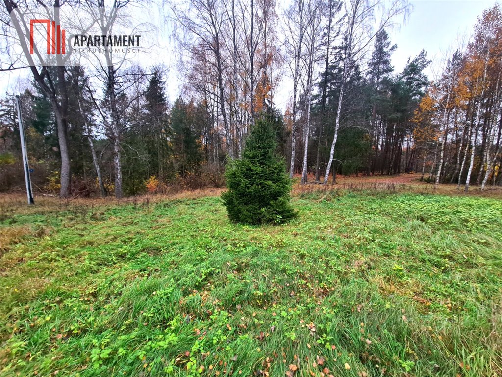 Działka budowlana na sprzedaż Stara Kiszewa  13 500m2 Foto 3