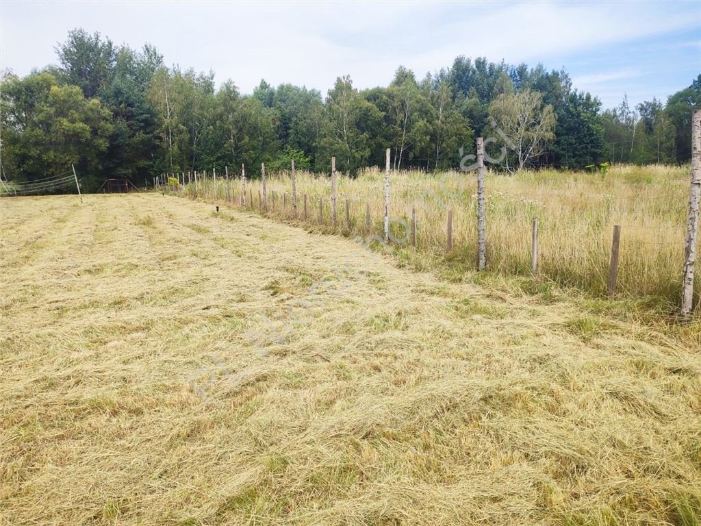 Działka budowlana na sprzedaż Radonie  3 000m2 Foto 3