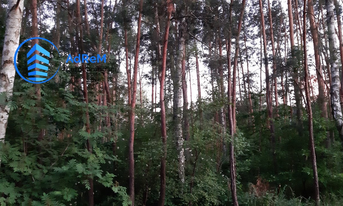 Działka leśna na sprzedaż Warszawa, Wesoła Groszówka  1 640m2 Foto 4