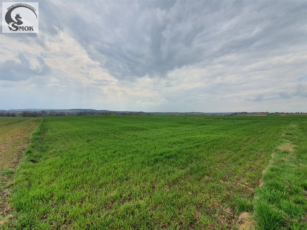 Do sprzedania działka rolna 1,12 ha z widokiem i dojazdem polną drogą Brończyce  11 200m2 Foto 1