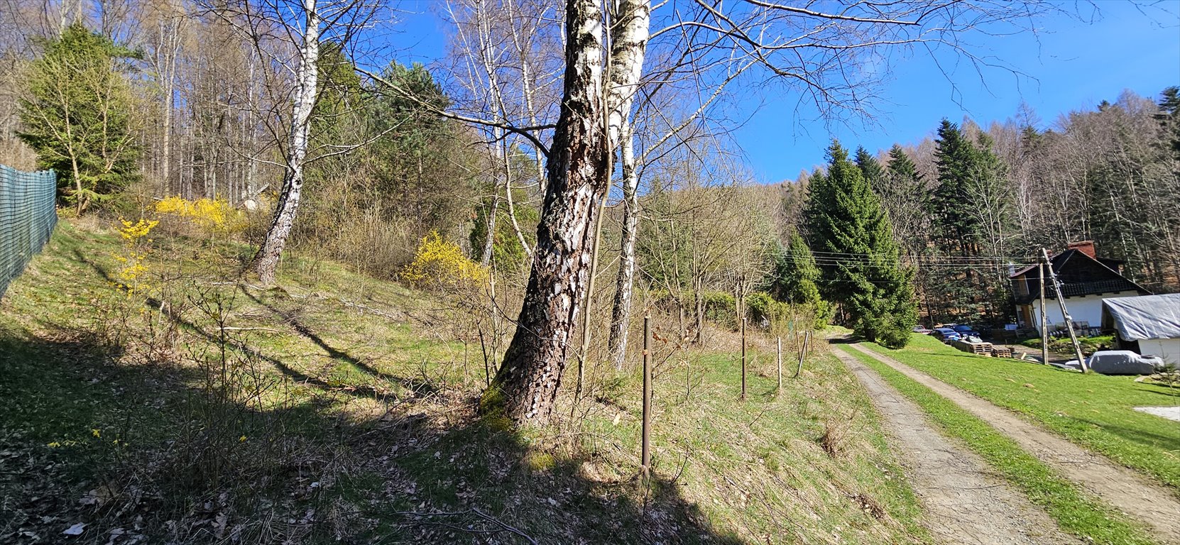 Zdjęcie 4