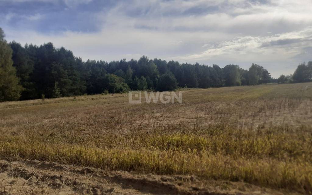 Działka siedliskowa na sprzedaż Jaworznik, Wschodnia  29 500m2 Foto 11