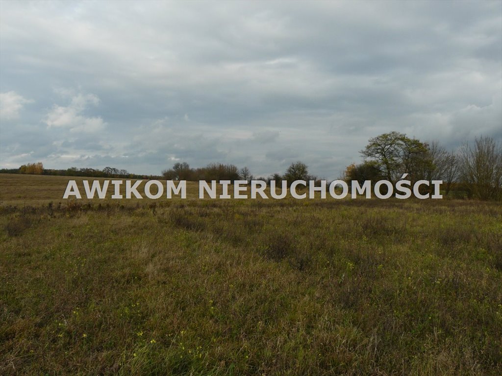 Działka inwestycyjna na sprzedaż Puszcza Mariańska, Wycześniak  162 570m2 Foto 3