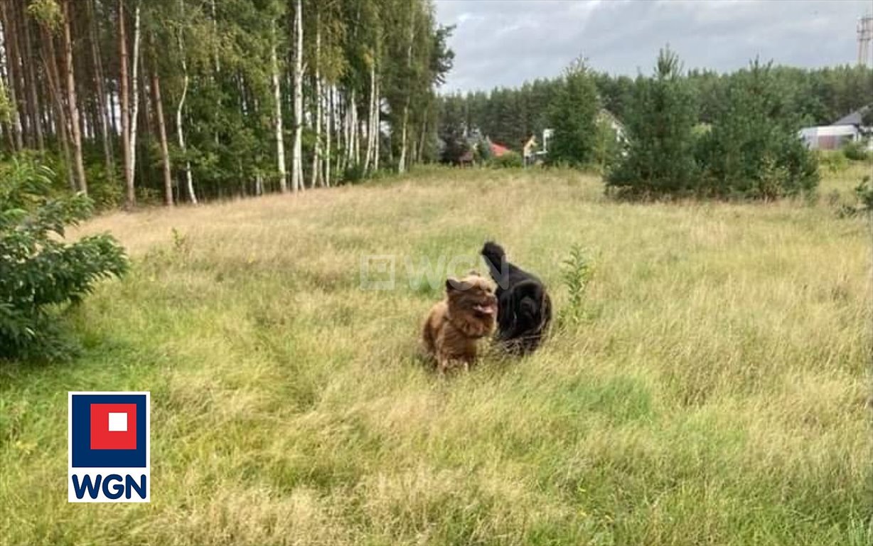 Dom na sprzedaż Kliniska Wielkie, Kliniska Wielkie, Kliniska Wielkie  43m2 Foto 4