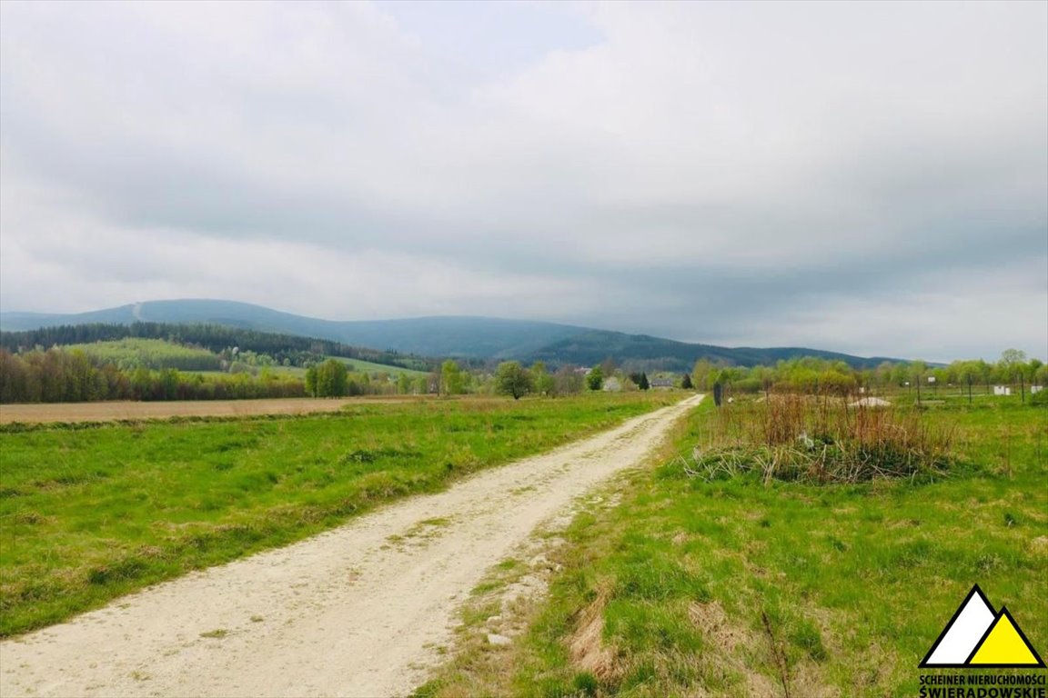 Działka budowlana na sprzedaż Świeradów-Zdrój, Jarzębinowa  1 534m2 Foto 7