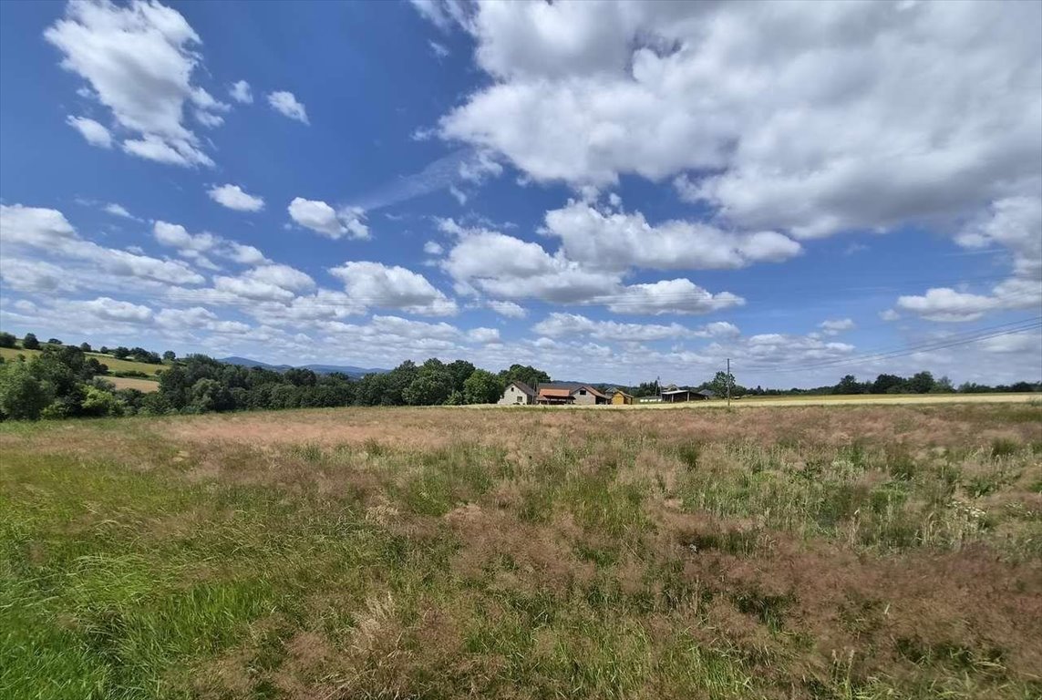 Sprzedam działkę 1328 m² z widokiem na góry w Brzezowej Brzezowa  1 328m2 Foto 1