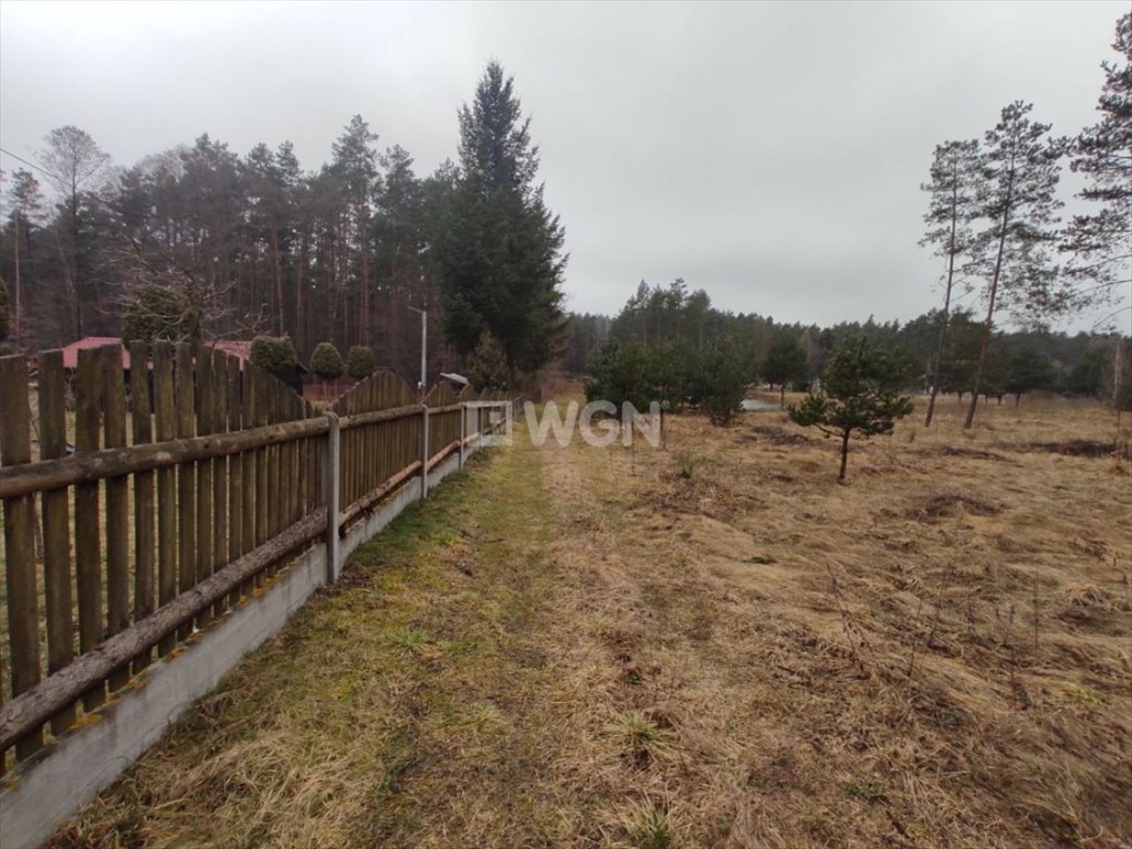 Działka budowlana na sprzedaż Prusicko, Rzędowie, Rzędowie  21 227m2 Foto 3