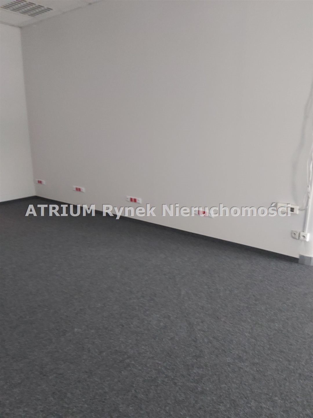 Lokal użytkowy na wynajem Piotrków Trybunalski  140m2 Foto 3