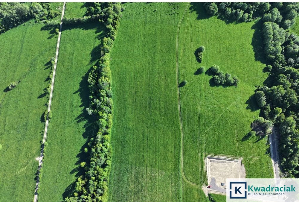 Działka inwestycyjna na sprzedaż Stężnica  7 000m2 Foto 8