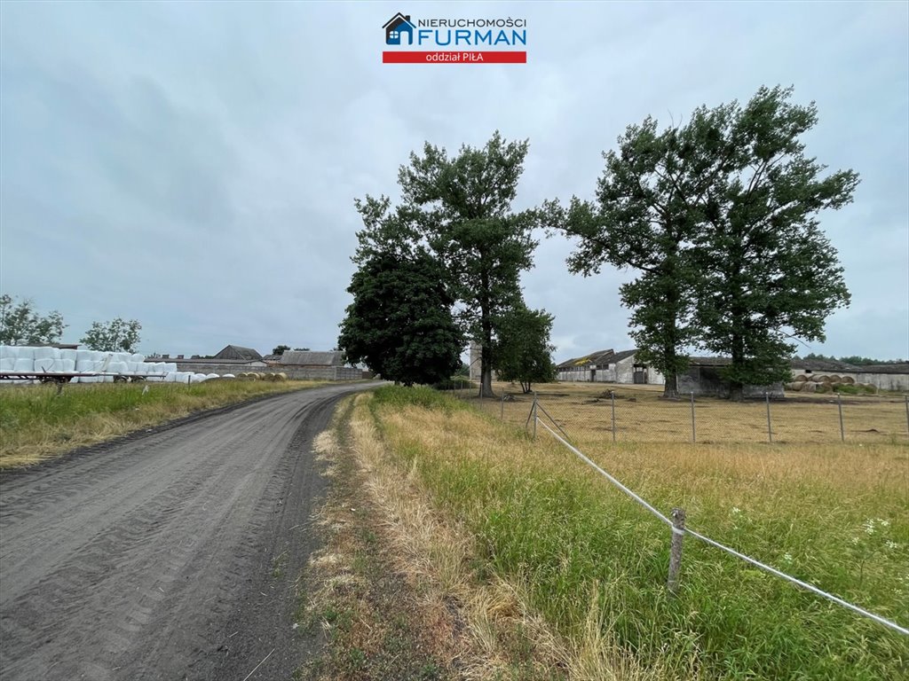 Działka rolna na sprzedaż Stobno  4 943m2 Foto 3