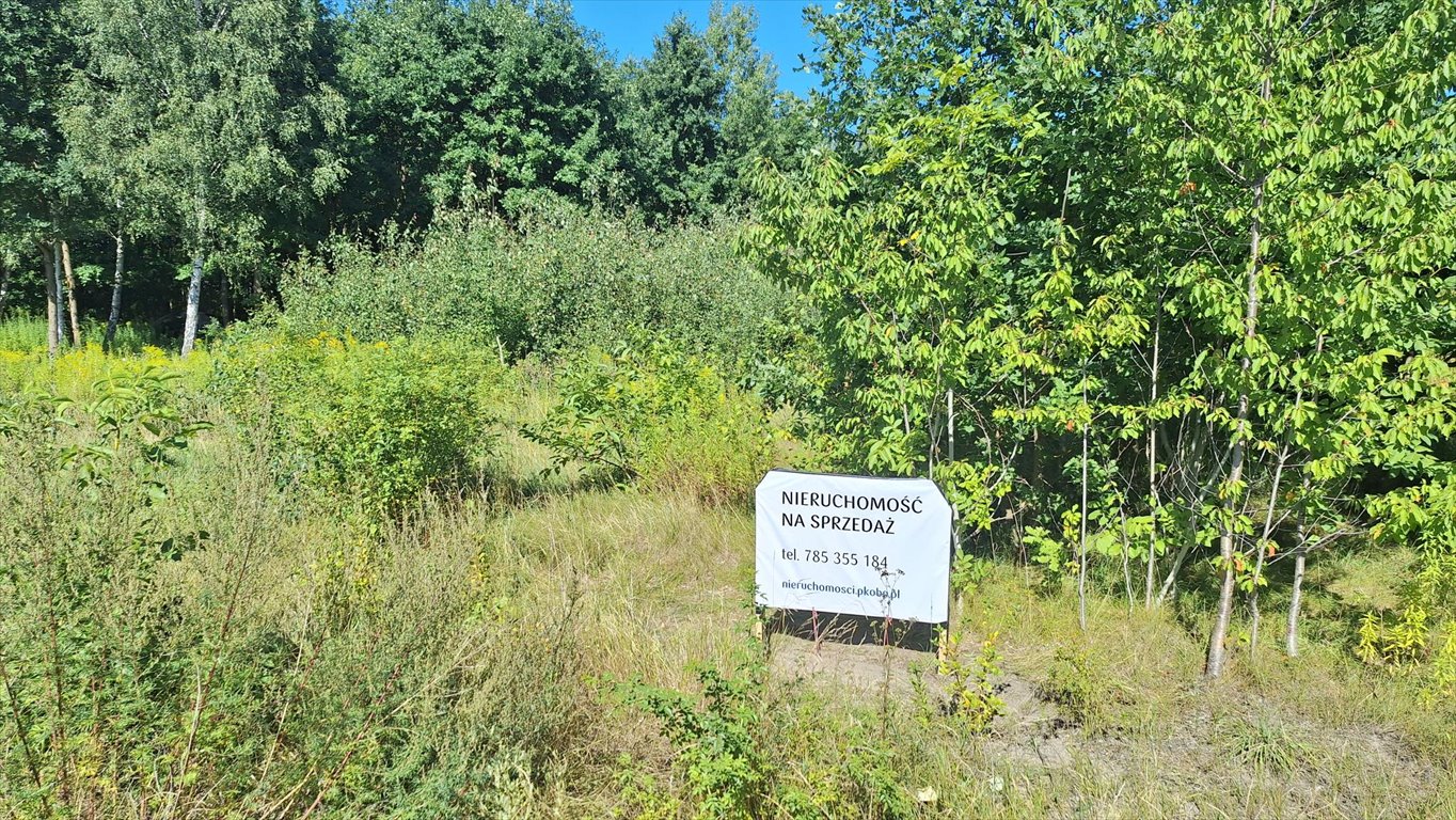 Działka 13 161 m² w Wołominie - inwestycja pod zabudowę wołomiński, 1 Maja  13 161m2 Foto 1