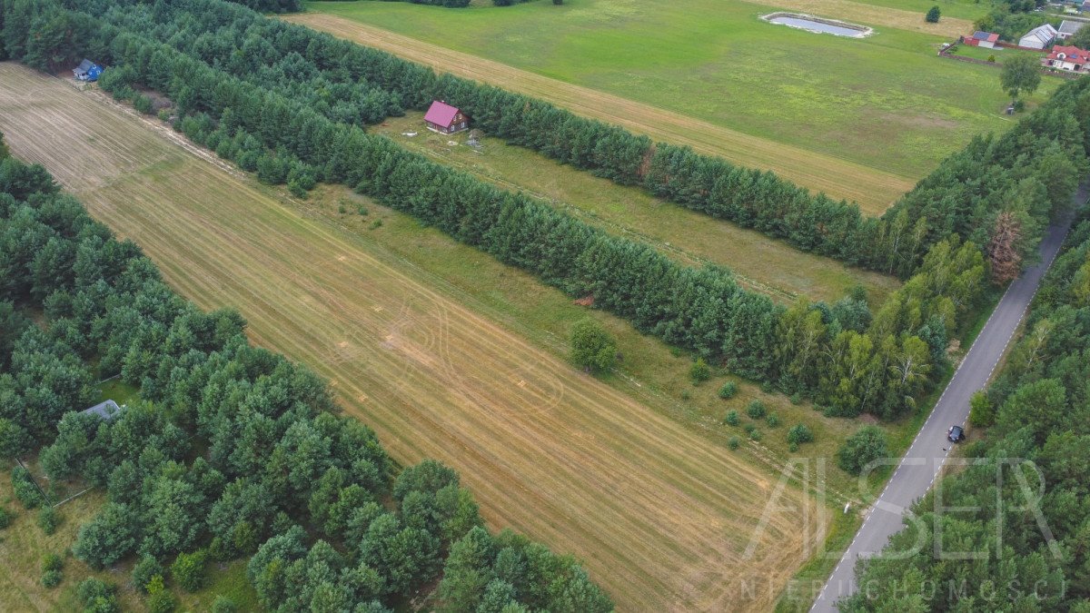 Działka rekreacyjna na sprzedaż Michałowo  4 818m2 Foto 10