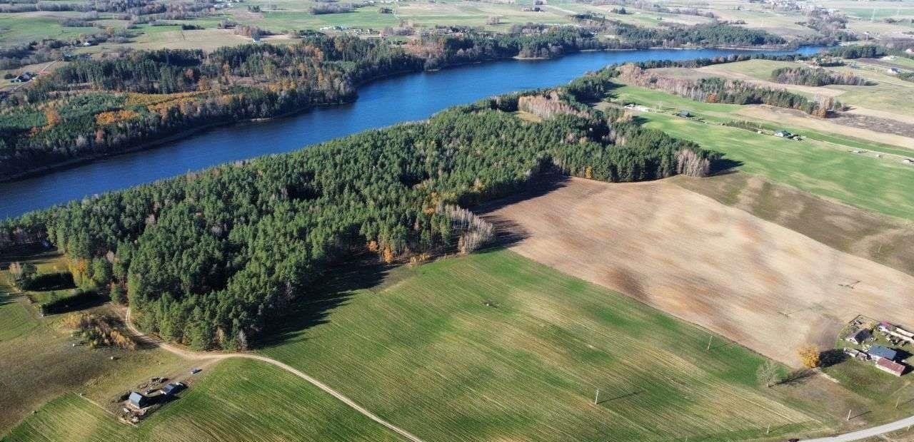 Działka rolna na sprzedaż Bakałarzewo  3 000m2 Foto 3