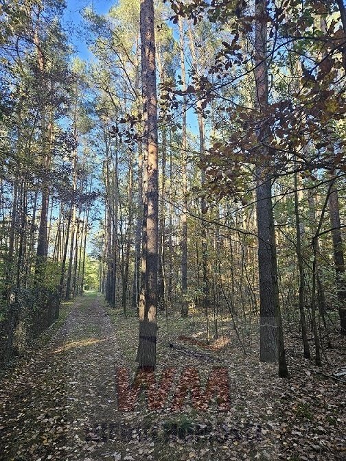 Działka budowlana na sprzedaż Chynów  4 800m2 Foto 3