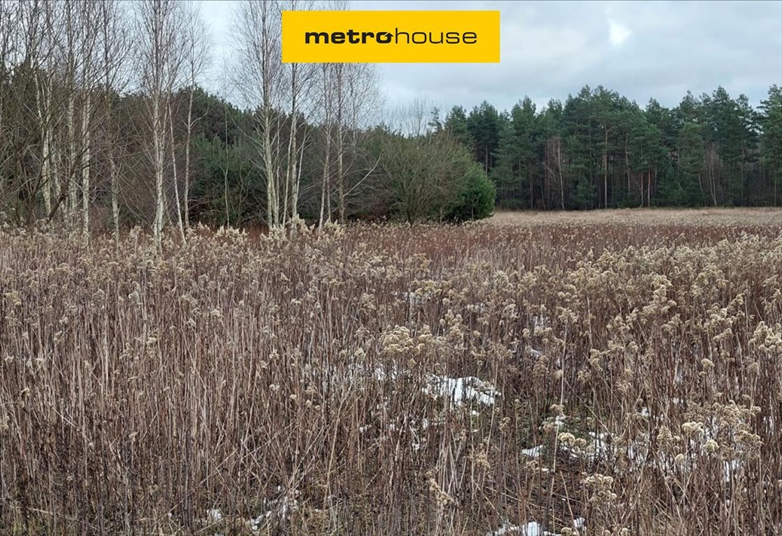 Działka 1000 m² pod dom w Obrowo, las, prąd. Obrowo  1 000m2 Foto 1
