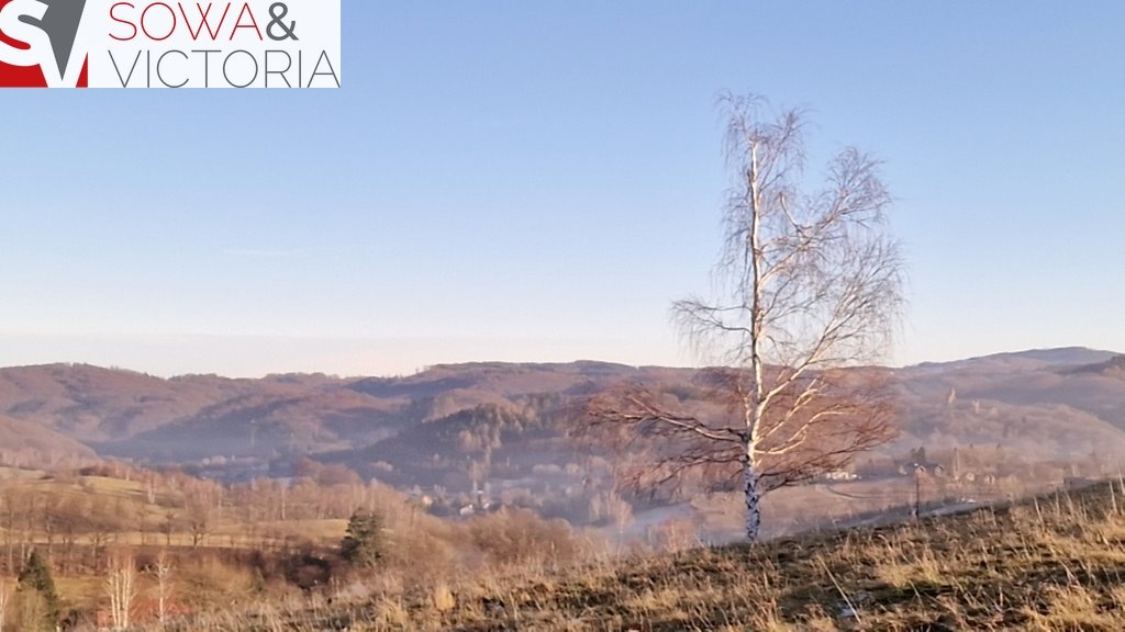 Działka inna na sprzedaż Zagórze Śląskie  32 000m2 Foto 12