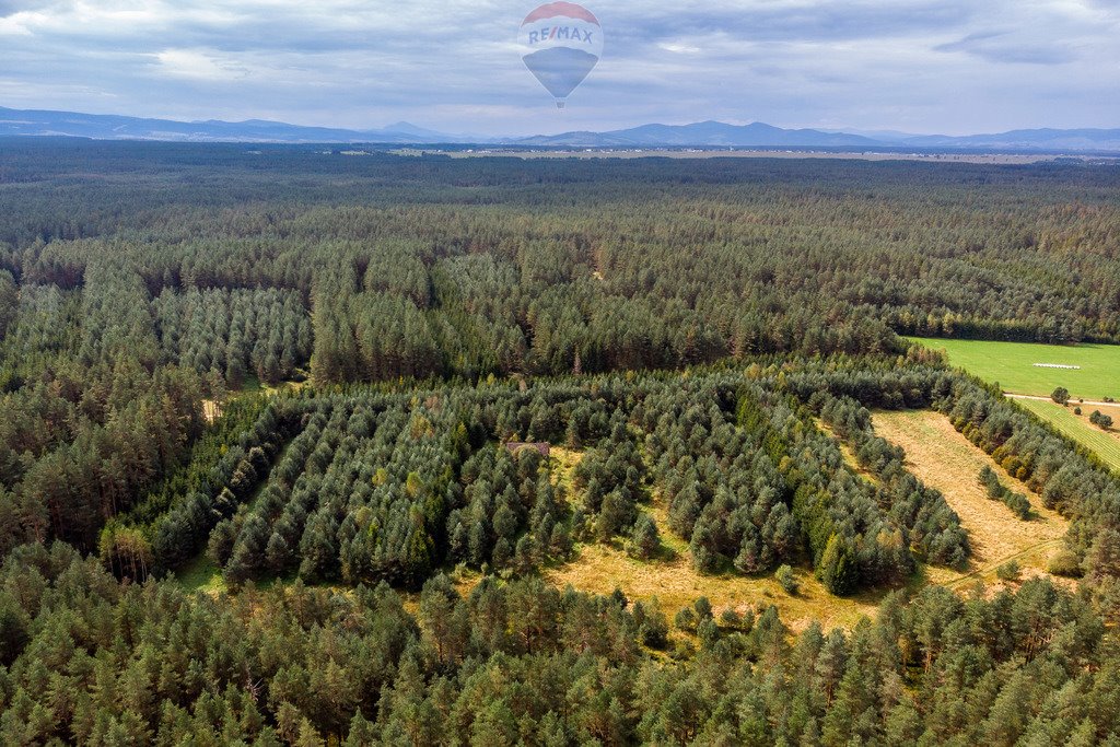 Działka rolna na sprzedaż Jabłonka, Leśna  20 000m2 Foto 12