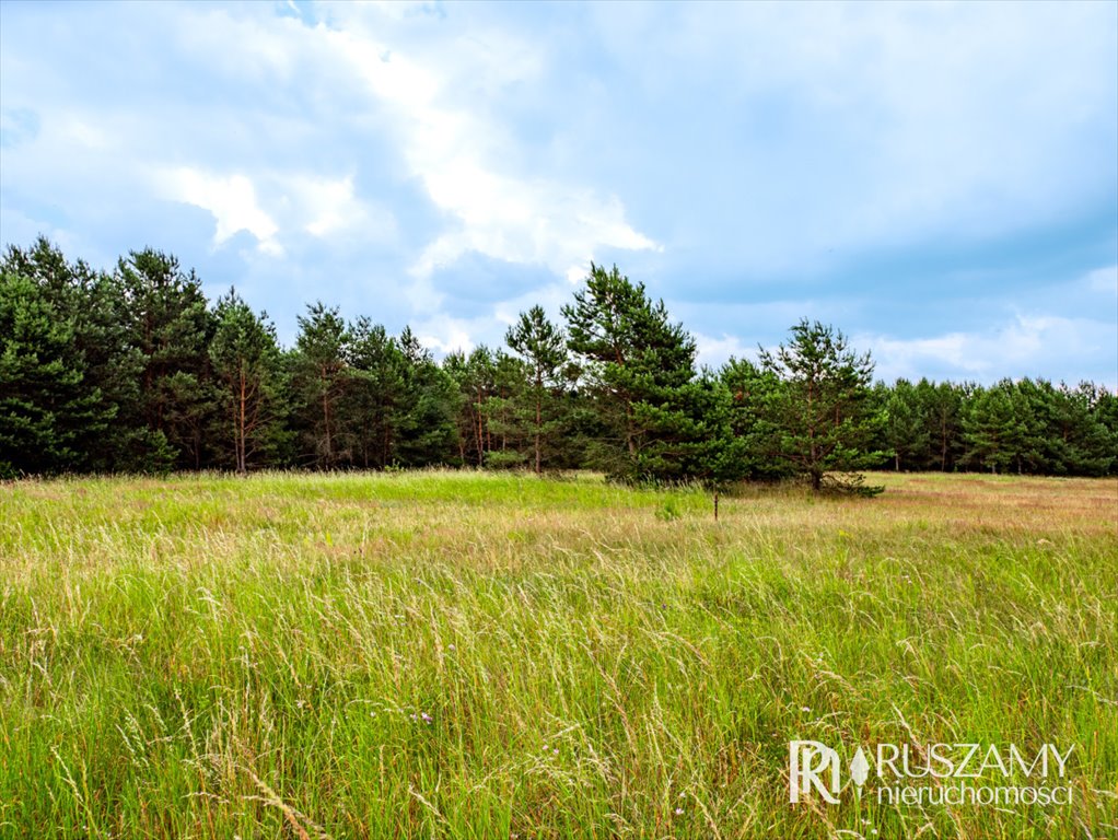 Działka budowlana na sprzedaż Wojtal  3 130m2 Foto 4