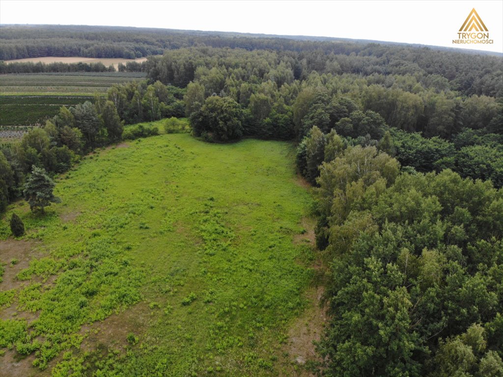 Działka rolna na sprzedaż Gąba  17 400m2 Foto 2