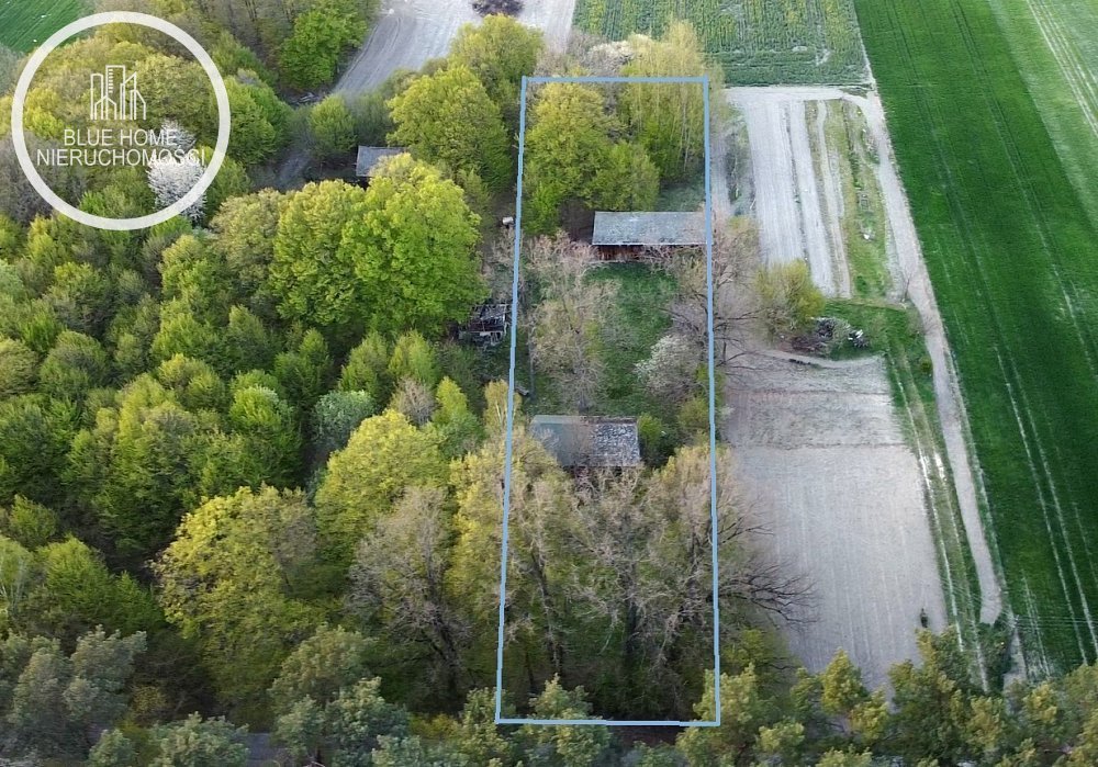 Urokliwe siedlisko z drewnianym domem 80 m2, las, działka 3201 m2 Stójło  80m2 Foto 1
