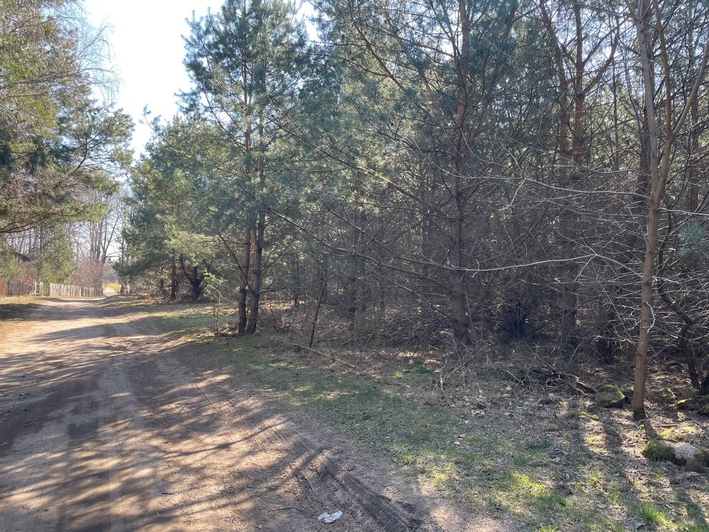 Działka budowlana na sprzedaż Arciechów  700m2 Foto 3