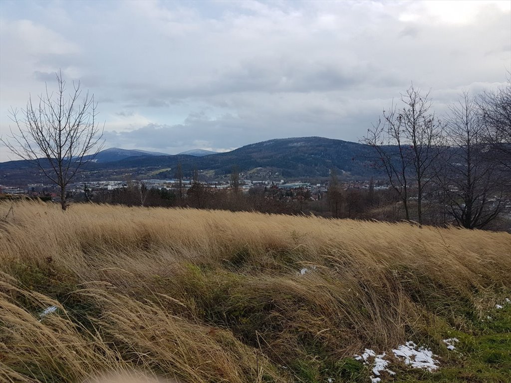 Działka budowlana na sprzedaż Myślenice, Sienkiewicza  1 600m2 Foto 3