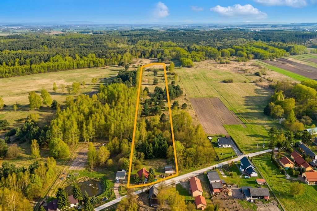 Dom na dużej działce 1,76 ha z potencjałem do remontu Holendry  50m2 Foto 1