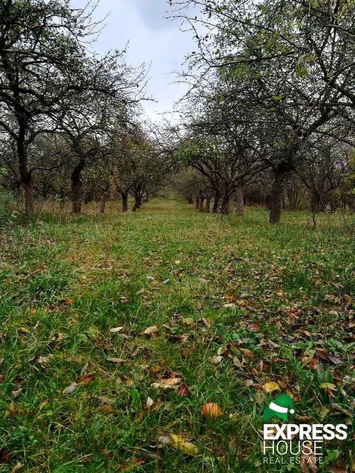 Działka budowlana na sprzedaż Grajewo, Sadowa  1 050m2 Foto 1