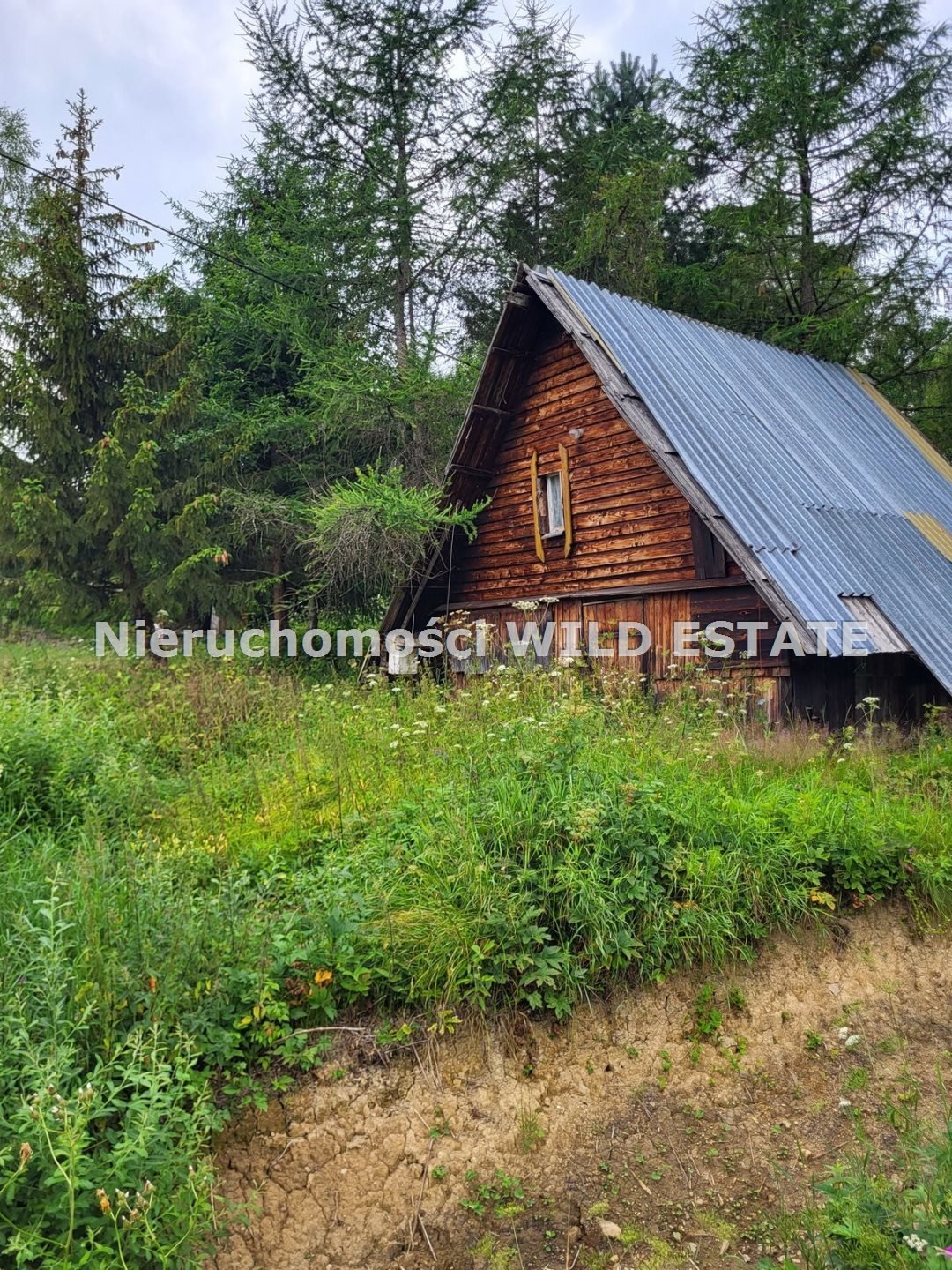 Działka inna na sprzedaż Cisna, Kalnica  1 391m2 Foto 2