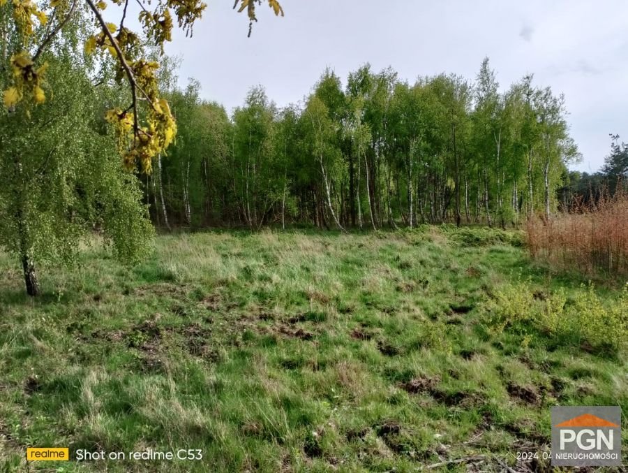 Działka 4490 m² w Dusinie z warunkami zabudowy polecam Dusin, Dusin  4 490m2 Foto 1