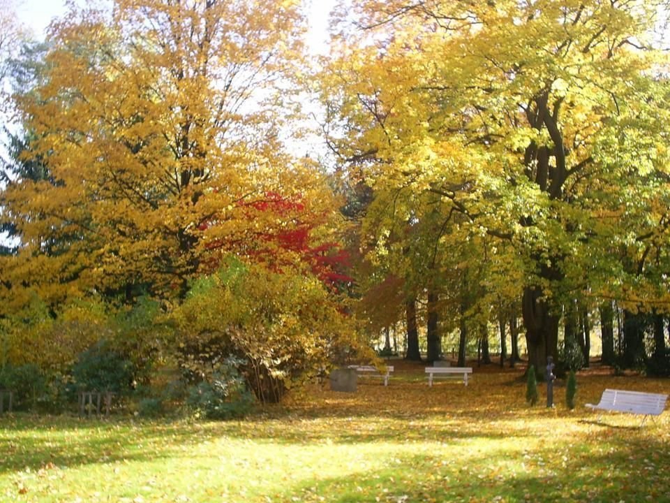 Lokal użytkowy na sprzedaż Kowary  1 500m2 Foto 8